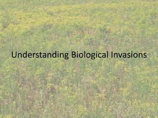 Understanding Biological Invasions
 