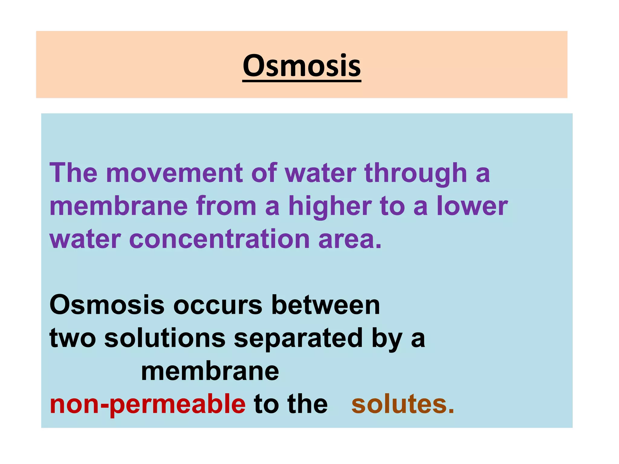 Osmosis
The movement of water through a
membrane from a higher to a lower
water concentration area.
Osmosis occurs between
two solutions separated by a
membrane
non-permeable to the solutes.
 