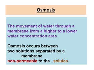 Osmosis
The movement of water through a
membrane from a higher to a lower
water concentration area.
Osmosis occurs between
two solutions separated by a
membrane
non-permeable to the solutes.
 