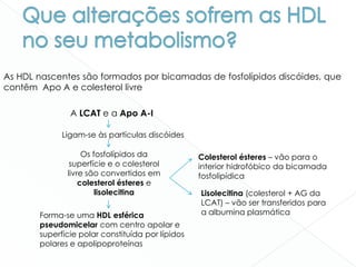 As HDL nascentes são formados por bicamadas de fosfolípidos discóides, que
contêm Apo A e colesterol livre
A LCAT e a Apo A-I
Ligam-se às partículas discóides
Os fosfolípidos da
superfície e o colesterol
livre são convertidos em
colesterol ésteres e
lisolecitina
Colesterol ésteres – vão para o
interior hidrofóbico da bicamada
fosfolipídica
Lisolecitina (colesterol + AG da
LCAT) – vão ser transferidos para
a albumina plasmáticaForma-se uma HDL esférica
pseudomicelar com centro apolar e
superfície polar constituída por lípidos
polares e apolipoproteínas
 