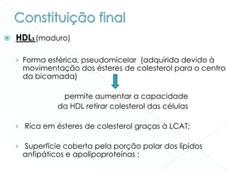  HDL3 (maduro)
› Forma esférica, pseudomicelar (adquirida devido à
movimentação dos ésteres de colesterol para o centro
da bicamada)
permite aumentar a capacidade
da HDL retirar colesterol das células
› Rica em ésteres de colesterol graças à LCAT;
› Superfície coberta pela porção polar dos lípidos
anfipáticos e apolipoproteínas ;
 