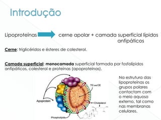 Lipoproteínas cerne apolar + camada superficial lípidos
anfipáticos
Cerne: triglicéridos e ésteres de colesterol.
Camada superficial: monocamada superficial formada por fosfolípidos
anfipáticos, colesterol e proteínas (apoproteínas).
Na estrutura das
lipoproteínas os
grupos polares
contactam com
o meio aquoso
externo, tal como
nas membranas
celulares.
 