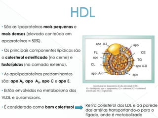 • São as lipoproteínas mais pequenas e
mais densas (elevado conteúdo em
apoproteínas ≈ 50%).
• Os principais componentes lipídicos são
o colesterol esterificado (no cerne) e
fosfolípidos (na camada externa).
• As apolipoproteínas predominantes
são: apo AI, apo AII, apo C e apo E.
• Estão envolvidas no metabolismo das
VLDL e quilomicrons.
• É considerado como bom colesterol Retira colesterol das LDL e da parede
das artérias transportando-o para o
fígado, onde é metabolizado
 