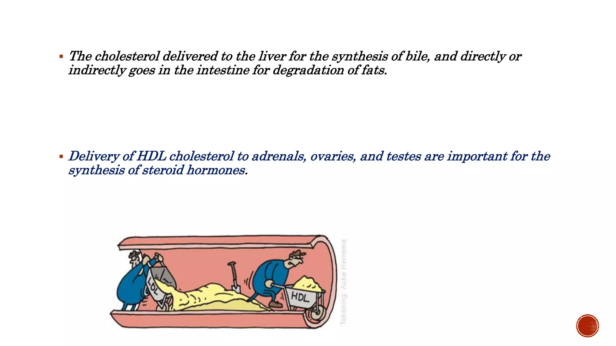  The cholesterol delivered to the liver for the synthesis of bile, and directly or
indirectly goes in the intestine for degradation of fats.
 Delivery of HDL cholesterol to adrenals, ovaries, and testes are important for the
synthesis of steroid hormones.
 