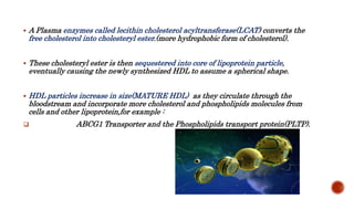 How Hdl Forms Hdl. high density lipoprotein | PPTX