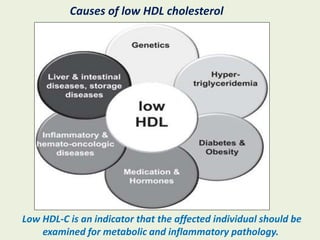 Low HDL-C is an indicator that the affected individual should be
examined for metabolic and inflammatory pathology.
Causes of low HDL cholesterol
 