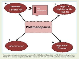 Postmenopause may cause increases in A. visceral fat. B. LDL, Dense LDL particles and TG. C. Inflammatory markers.
D. High Blood Pressure. It is postulated that the decreases in HDL only occur with substantial increases in visceral fat.
 