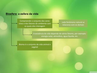 Biosfera: a esfera da vida 
Compreende o conjunto dos seres 
vivos e dos fatores do ambiente com 
os quais eles interagem 
cada fenômeno natural se 
relaciona com os demais 
A existência da vida depende de vários fatores, por exemplo: 
energia solar, atmosfera, água líquida, etc. 
Bioma é o conjunto de vida animal e 
vegetal 
 