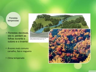 • Florestas decíduas, 
isto é, perdem as 
folhas durante o 
outono e o inverno 
• Árvores mais comuns: 
carvalho, faia e nogueira 
• Clima temperado 
Imagem e legenda extraídas de: DELF, Brian: Atlas 
universal ilustrado. São Paulo, Martins. [s.d.]. 
IMAGEBROKER / ALAMY / OTHER IMAGES 
6 
 