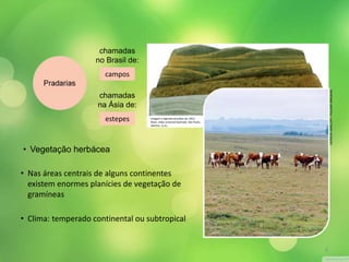chamadas 
no Brasil de: 
campos 
chamadas 
na Ásia de: 
estepes 
• Vegetação herbácea 
Imagem e legenda extraídas de: DELF, 
Brian: Atlas universal ilustrado. São Paulo, 
Martins. [s.d.]. 
• Nas áreas centrais de alguns continentes 
existem enormes planícies de vegetação de 
gramíneas 
• Clima: temperado continental ou subtropical 
GERSON GERLOFF / PULSAR IMAGENS 
8 
 