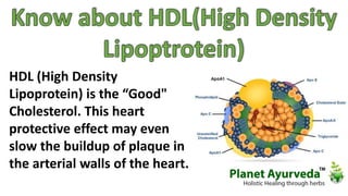 HDL (High Density 
Lipoprotein) is the “Good" 
Cholesterol. This heart 
protective effect may even 
slow the buildup of plaque in 
the arterial walls of the heart. 
 