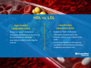 Hdl Vs Ldl
