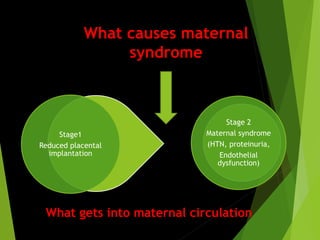What causes maternal
syndrome
Stage 2
Maternal syndrome
(HTN, proteinuria,
Endothelial
dysfunction)
Stage1
Reduced placental
implantation
What gets into maternal circulation
 