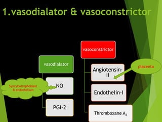 1.vasodialator & vasoconstrictor
vasodialator
NO
PGI-2
vasoconstrictor
Angiotensin-
II
Endothelin-I
Thromboxane A2
placenta
Syncytiotrophoblast
& endothelium
 
