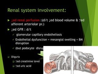 Renal system involvement:
 ↓ed renal perfusion :(d/t ↓ed blood volume & ↑ed
afferent arteriolar pr.)
 ↓ed GFR : d/t
 glomerular capillary endotheliosis
 Endothelial dysfunction + mesangial swelling + BM
disruption
 (but podocyte disruption minimal)
 Oliguria
 ↑ed creatinine level
 ↑ed uric acid
 