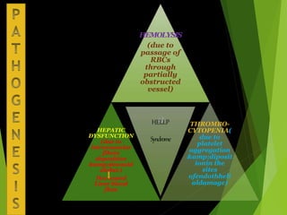 HEMOLYSIS
(due to
passage of
RBCs
through
partially
obstructed
vessel)
s)
HEPATIC
DYSFUNCTION
(due to
intravascular
fibrin
deposition
&amp;sinosoid
alobst.)
Decreased
Liver blood
flow
HELLP
Syndrome
THROMBO-
CYTOPENIA(
due to
platelet
aggregation
&amp;diposit
ionin the
sites
ofendothheli
aldamage)
 