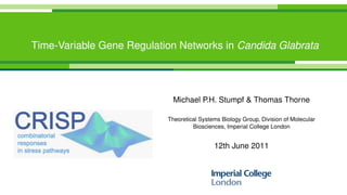 Time-Variable Gene Regulation Networks in Candida Glabrata




                             Michael P.H. Stumpf & Thomas Thorne

                           Theoretical Systems Biology Group, Division of Molecular
                                    Biosciences, Imperial College London


                                            12th June 2011
 