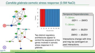 Candida glabrata osmotic stress response (0.5M NaCl)

                                SPT16




                                                                  1.0
                   EMC6




                                                                  0.8
                                                                                                              Temporal Dependencies
                                      SMX3




                                                                  0.6
                                                      Frequency
             MKS1
                             FPS1
                                                                                                                T<30min:




                                                                  0.4
                                                                                                                     ISD11 → SMX 3




                                                                  0.2
                        ISD11
1   CAGL0K04235g                                                                                                T>30min:




                                                                  0.0
                       BUD31                                            15   30   60   90   120 150 180 240
                                    CAGL0K06127g
                                                                                   Time point (mins)
                                                                                                                      ISD11 → BUD31
                   ISD11       SMX3

                                                      Two distinct regulatory                                         SMX 3 → BUD31
                   YJR085C            FPS1
                                                      architectures appear to
                                                                                                              Interactions change with time
                           VMA22               SRB8   control the expression of the
    CAGL0H00704g
                                                      genes involved in osmotic                               and may be contingent on
                                                      stress response in C.                                   past interactions.
2
                              CUE2
                                                      glabrata.
            Time-Variable Networks in Candida Glabrata            Stumpf&Thorne                                                           9 of 11
 