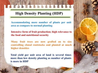 High Density Planting (HDP)
Accommodating more number of plants per unit
area as compare to normal planting
Intensive form of fruit production; high relevance to
the food and nutritional security
Many fruit trees are now grafted on to size
controlling clonal rootstocks and planted at much
higher densities
Total yield per unit area of land is several times
more than low density planting as number of plants
is more in HDP
 