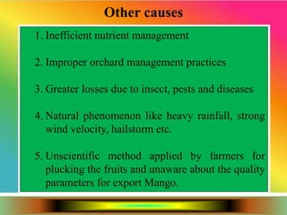 1. Inefficient nutrient management
2. Improper orchard management practices
3. Greater losses due to insect, pests and diseases
4. Natural phenomenon like heavy rainfall, strong
wind velocity, hailstorm etc.
5. Unscientific method applied by farmers for
plucking the fruits and unaware about the quality
parameters for export Mango.
Other causes
 