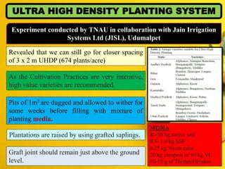 ULTRA HIGH DENSITY PLANTING SYSTEM
Experiment conducted by TNAU in collaboration with Jain Irrigation
Systems Ltd (JISL), Udumalpet
Revealed that we can still go for closer spacing
of 3 x 2 m UHDP (674 plants/acre)
As the Cultivation Practices are very intensive,
high value varieties are recommended.
Pits of 1m3 are dugged and allowed to wither for
some weeks before filling with mixture of
planting media.
MEDIA
40-50 kg native soil,
0.5- 1.0 kg SSP
0.25 kg Neem cake
20 kg compost or 10 kg VC
10-15 g of Thimet/Furadon
Plantations are raised by using grafted saplings.
Graft joint should remain just above the ground
level.
 