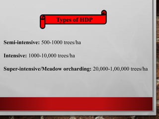Types of HDP
Semi-intensive: 500-1000 trees/ha
Intensive: 1000-10,000 trees/ha
Super-intensive/Meadow orcharding: 20,000-1,00,000 trees/ha
 