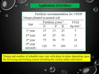 Application of fertilizer
Timing and number of schedule may vary with place to place depending upon
the flowering and fruiting season including the variety under cultivation.
 