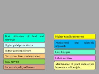 Best utilization of land and
resources
Higher yield per unit area
Higher economic return
Convenient farm mechanization
Easy harvest
Improved quality of harvest
Higher establishment cost
Professional and scientific
approach
Less life span
Labor intensive
Maintenance of plant architecture
becomes a tedious job.
 
