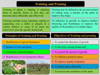 Training and Pruning
Training of plants is shaping or adapting
them to specific forms so that they can
function more efficiently and effectively
Training includes tying, fastening, staking or
supporting over a trellis or pergola in a
certain fashion or some of its parts are
removed to provide specific framework
Pruning may be defined as the art and science
of cutting away a portion of the plant to
improve the shape
Principles of Training and Pruning
To influence its growth, to improve lumber,
flowering and fruitfulness to improve the
quality of the produce or to repair injury
1. Modification of apical dominance
2. Balance of root and shoot
3. Alteration of growth phases
4. Modification of environmental effects
Objectives of Training and pruning
1. To control the direction of growth
2. To develop a strong framework
3. To control the amount of growth
4. To influence productiveness
5. To improve quality of product
6. To utilize space efficiently
7. To increase the usefulness of the plant
 