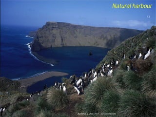 Asnidha.V ,Asst. Prof. , CE Dept,M
Natural harbour
13
Asnidha.V ,Asst. Prof. , CE Dept,M-Dit
 