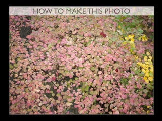 HOW TO MAKE THIS PHOTO
 