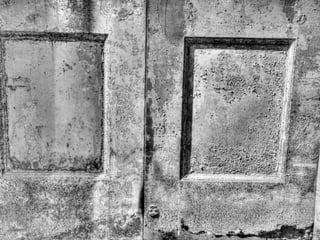 See it now? Single RAW HDR, poor exposure & moving subject
 