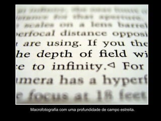 Macrofotografia com uma profundidade de campo estreita.
 