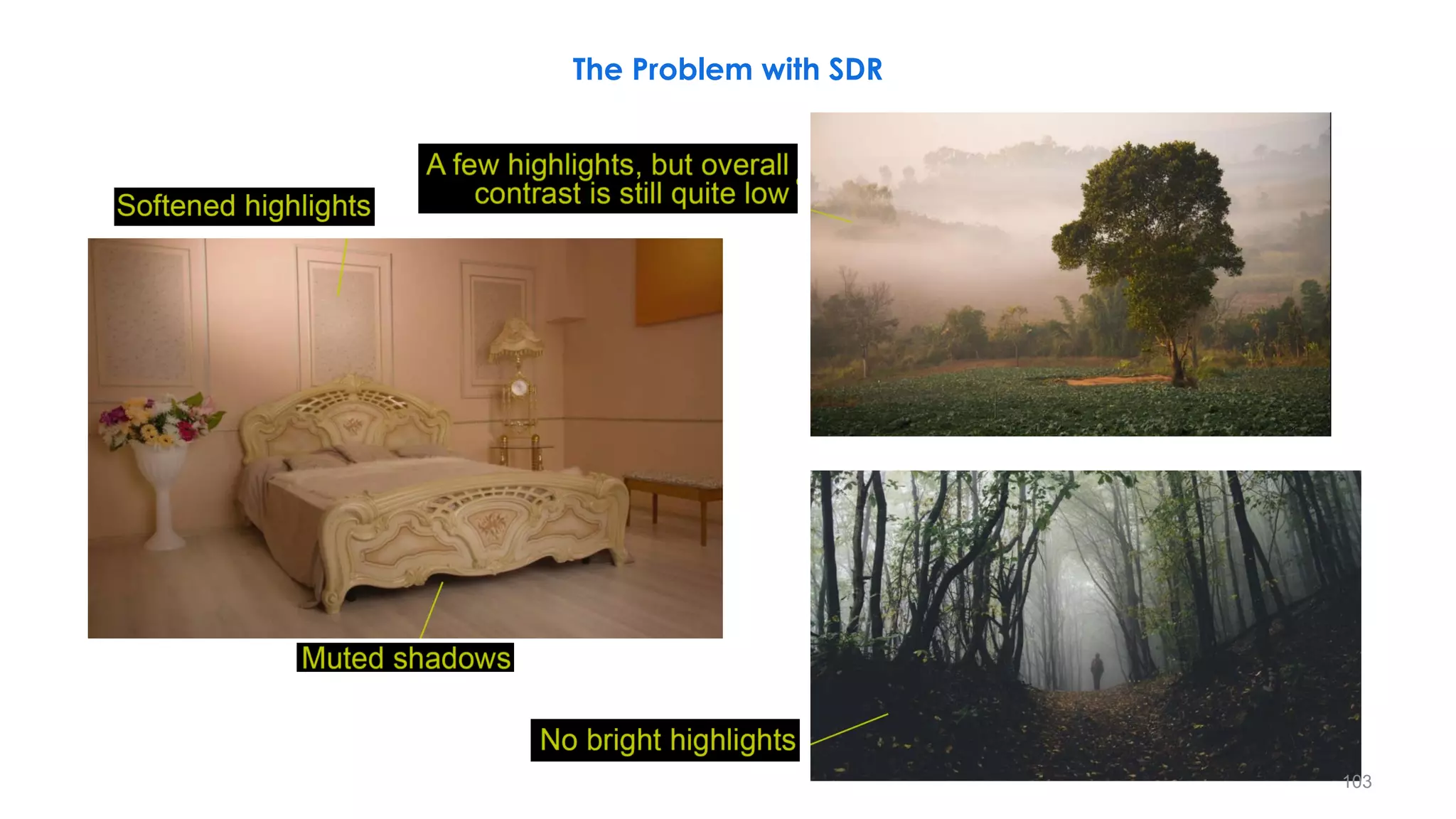 The Problem with SDR
103
 