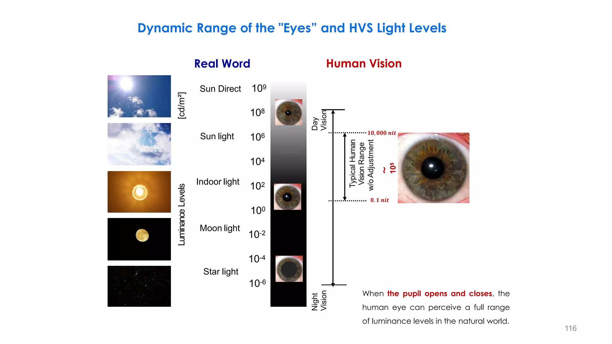 Luminance
Levels
[cd/m²]
108
106
104
102
100
10-2
10-6
Sun Direct 109
Sun light
Indoor light
Moon light
10-4
Star light
Day
Vision
Night
Vision
Typical
Human
Vision
Range
w/o
Adjustment
～
10
5
Dynamic Range of the "Eyes” and HVS Light Levels
𝟎. 𝟏 𝒏𝒊𝒕
𝟏𝟎, 𝟎𝟎𝟎 𝒏𝒊𝒕
Real Word Human Vision
When the pupil opens and closes, the
human eye can perceive a full range
of luminance levels in the natural world.
116
 