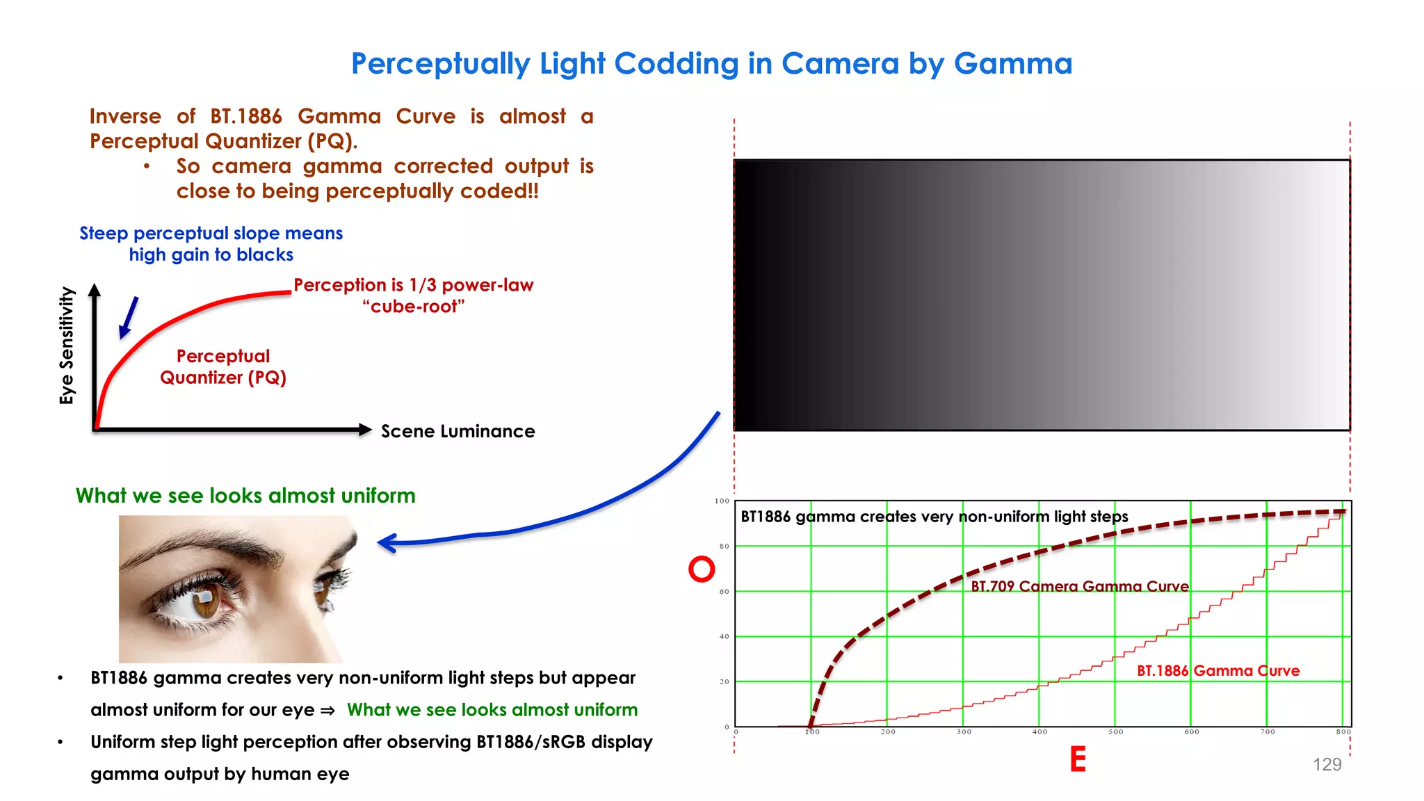 • BT1886 gamma creates very non-uniform light steps but appear
almost uniform for our eye ⇒ What we see looks almost uniform
• Uniform step light perception after observing BT1886/sRGB display
gamma output by human eye
What we see looks almost uniform
Perceptually Light Codding in Camera by Gamma
BT.1886 gamma creates very non-uniform light steps
BT.1886 Gamma Curve
Steep perceptual slope means
high gain to blacks
Eye
Sensitivity
Scene Luminance
Perceptual
Quantizer (PQ)
Perception is 1/3 power-law
“cube-root”
O
E
BT1886 gamma creates very non-uniform light steps
BT.709 Camera Gamma Curve
Inverse of BT.1886 Gamma Curve is almost a
Perceptual Quantizer (PQ).
• So camera gamma corrected output is
close to being perceptually coded!!
129
 