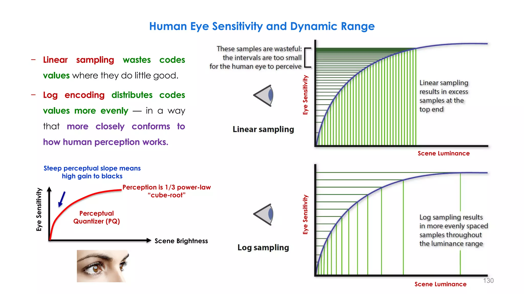 Human Eye Sensitivity and Dynamic Range
− Linear sampling wastes codes
values where they do little good.
− Log encoding distributes codes
values more evenly — in a way
that more closely conforms to
how human perception works.
Eye
Sensitivity
Scene Luminance
Eye
Sensitivity
Scene Luminance
Steep perceptual slope means
high gain to blacks
Eye
Sensitivity
Scene Brightness
Perceptual
Quantizer (PQ)
Perception is 1/3 power-law
“cube-root”
130
 