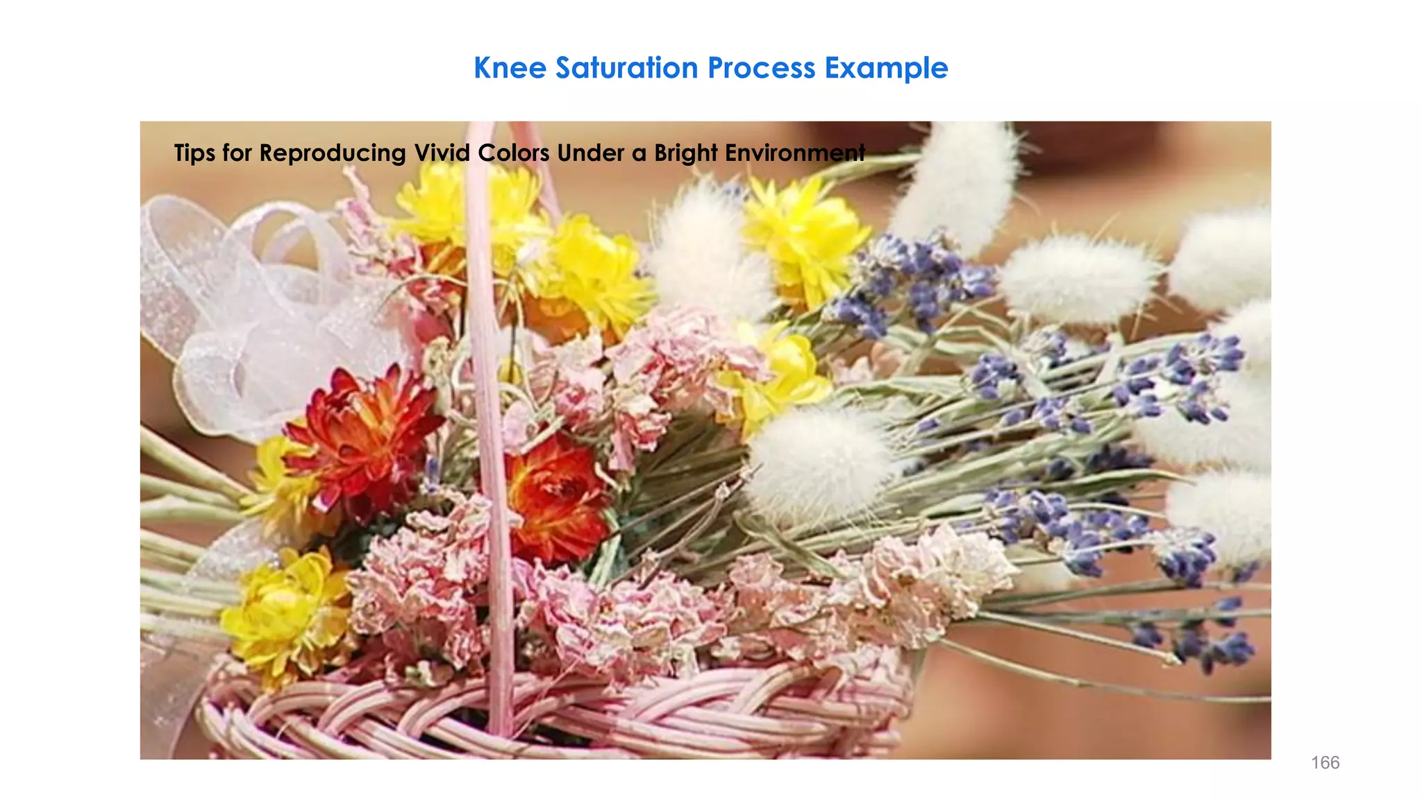 Tips for Reproducing Vivid Colors Under a Bright Environment
Knee Saturation Process Example
166
 