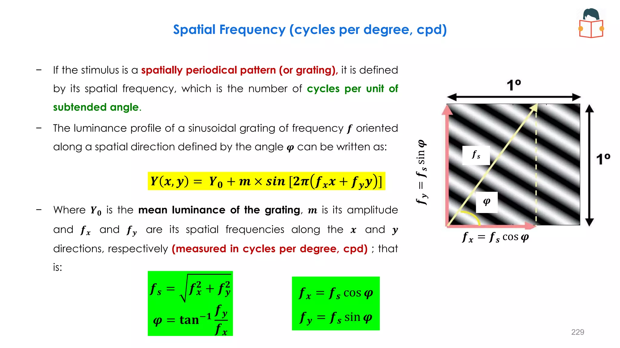 − If the stimulus is a spatially periodical pattern (or grating), it is defined
by its spatial frequency, which is the number of cycles per unit of
subtended angle.
− The luminance profile of a sinusoidal grating of frequency 𝒇 oriented
along a spatial direction defined by the angle 𝝋 can be written as:
− Where 𝒀𝟎 is the mean luminance of the grating, 𝒎 is its amplitude
and 𝒇𝒙 and 𝒇𝒚 are its spatial frequencies along the 𝒙 and 𝒚
directions, respectively (measured in cycles per degree, cpd) ; that
is:
𝒀 𝒙, 𝒚 = 𝒀𝟎 + 𝒎 × 𝒔𝒊𝒏 [𝟐𝝅 𝒇𝒙𝒙 + 𝒇𝒚𝒚 ]
𝒇𝒔 = 𝒇𝒙
𝟐
+ 𝒇𝒚
𝟐
𝝋 = 𝐭𝐚𝐧−𝟏
𝒇𝒚
𝒇𝒙
𝒇𝒙 = 𝒇𝒔 cos 𝝋
𝒇𝒚 = 𝒇𝒔 sin 𝝋
𝒇𝒙 = 𝒇𝒔 cos 𝝋
𝒇
𝒚
=
𝒇
𝒔
sin
𝝋
𝒇𝒔
𝝋
Spatial Frequency (cycles per degree, cpd)
229
 