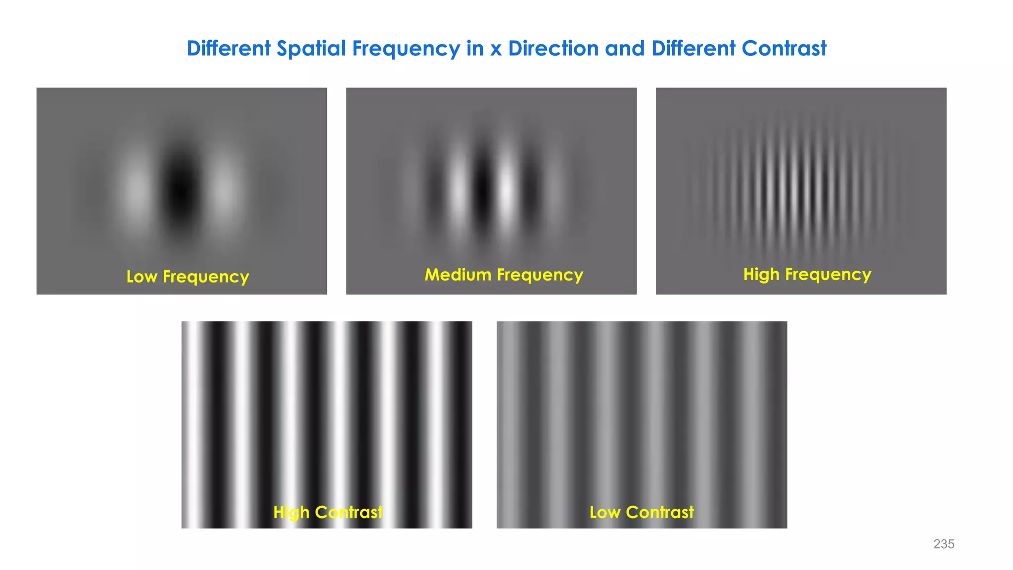 Low Frequency Medium Frequency High Frequency
High Contrast Low Contrast
Different Spatial Frequency in x Direction and Different Contrast
235
 
