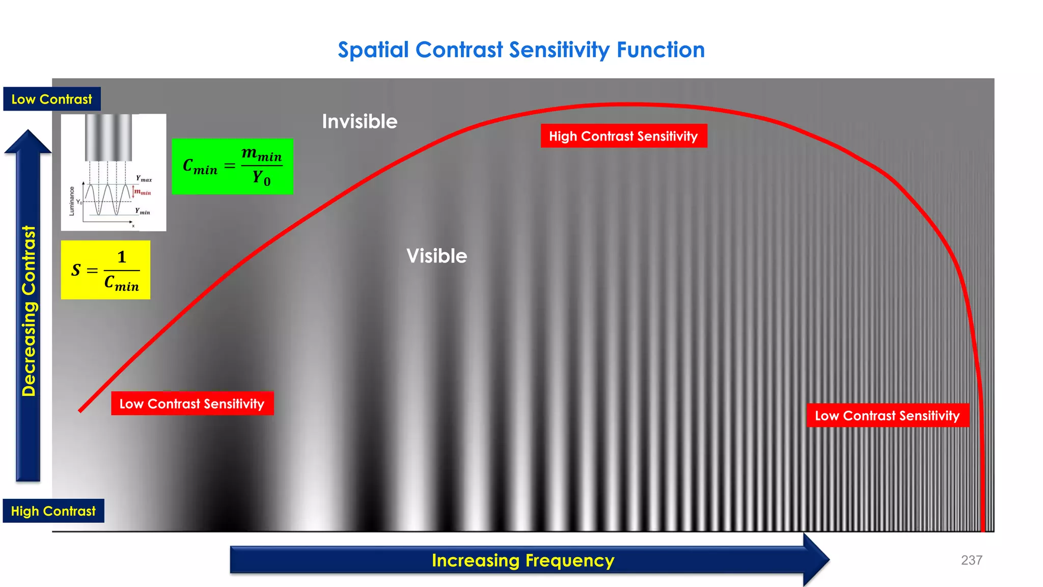 Spatial Contrast Sensitivity Function
Invisible
Visible
Decreasing
Contrast
Low Contrast
High Contrast
𝑺 =
𝟏
𝑪𝒎𝒊𝒏
𝑪𝒎𝒊𝒏 =
𝒎𝒎𝒊𝒏
𝒀𝟎
Low Contrast Sensitivity
High Contrast Sensitivity
Increasing Frequency
Low Contrast Sensitivity
237
 
