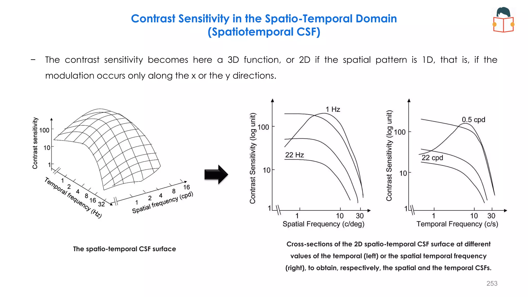Contrast Sensitivity in the Spatio-Temporal Domain
(Spatiotemporal CSF)
− The contrast sensitivity becomes here a 3D function, or 2D if the spatial pattern is 1D, that is, if the
modulation occurs only along the x or the y directions.
The spatio-temporal CSF surface
Cross-sections of the 2D spatio-temporal CSF surface at different
values of the temporal (left) or the spatial temporal frequency
(right), to obtain, respectively, the spatial and the temporal CSFs.
253
 