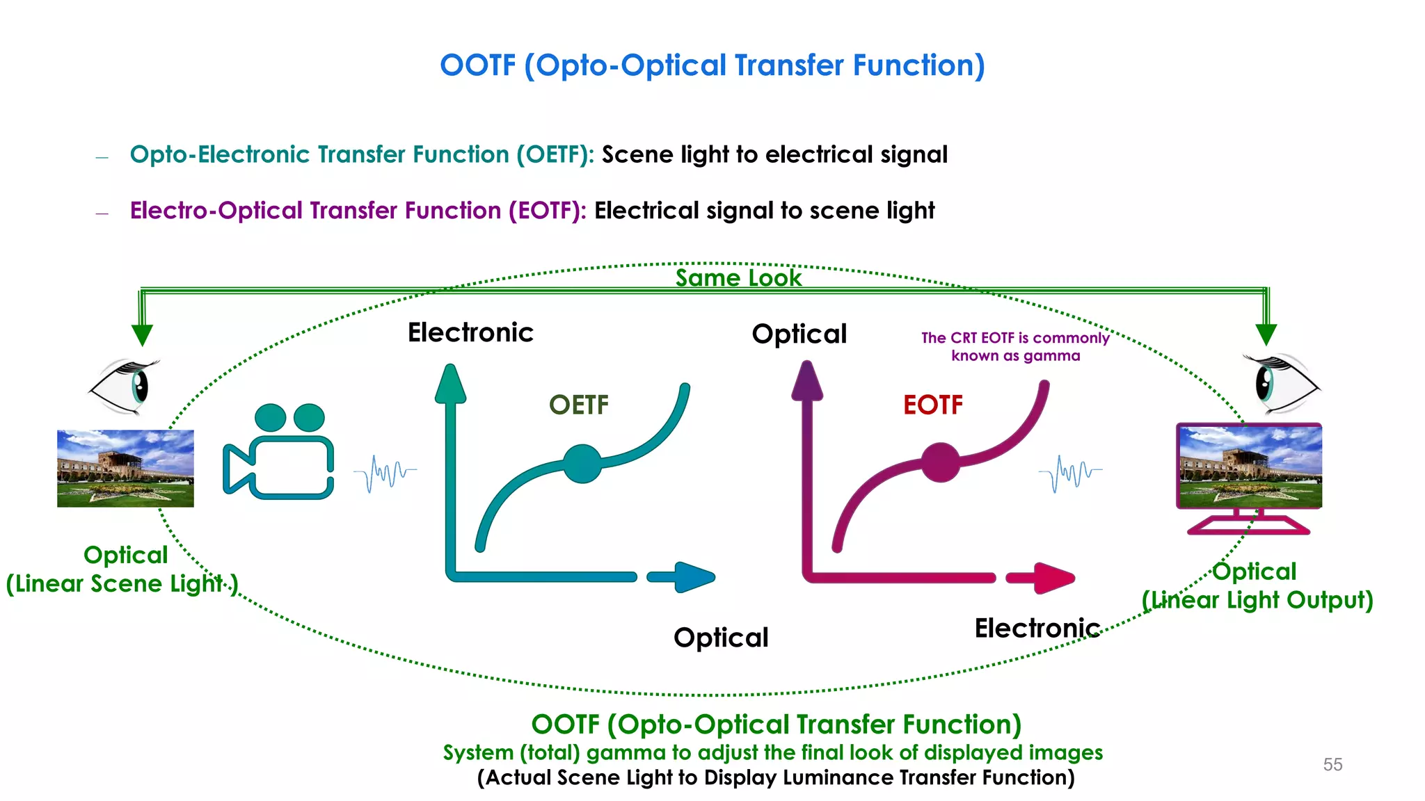 OOTF (Opto-Optical Transfer Function)
Optical
Electronic
OETF
The CRT EOTF is commonly
known as gamma
Optical
Electronic
EOTF
OOTF (Opto-Optical Transfer Function)
System (total) gamma to adjust the final look of displayed images
(Actual Scene Light to Display Luminance Transfer Function)
Optical
(Linear Scene Light )
Optical
(Linear Light Output)
Same Look
– Opto-Electronic Transfer Function (OETF): Scene light to electrical signal
– Electro-Optical Transfer Function (EOTF): Electrical signal to scene light
55
 