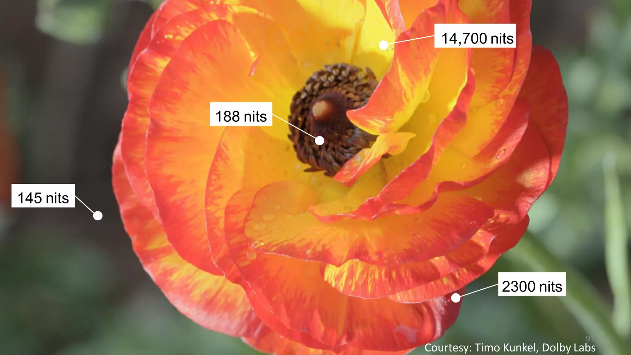 145 nits
188 nits
14,700 nits
2300 nits
Courtesy: Timo Kunkel, Dolby Labs
97
 