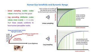 Human Eye Sensitivity and Dynamic Range
− Linear sampling wastes codes
values where they do little good.
− Log encoding distributes codes
values more evenly — in a way
that more closely conforms to
how human perception works.
Eye
Sensitivity
Scene Luminance
Eye
Sensitivity
Scene Luminance
Steep perceptual slope means
high gain to blacks
Eye
Sensitivity
Scene Brightness
Perceptual
Quantizer (PQ)
Perception is 1/3 power-law
“cube-root”
81
 