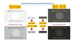 ∆𝑳
𝑳
= 𝑪𝒐𝒏𝒔𝒕𝒂𝒏𝒕 (≈ 𝟎. 𝟎𝟐)
Masker: Background 𝑳𝟏 (one stimulus)
Disk: Another stimulus 𝑳𝟏 + ∆𝑳𝟏
In the brighter parts of an image
∆𝑳
𝑳
= 𝑪𝒐𝒏𝒔𝒕𝒂𝒏𝒕 (≈ 𝟎. 𝟎𝟐)
Masker: Background 𝑳𝟐(one stimulus)
Disk: Another stimulus 𝑳𝟐 + ∆𝑳𝟐
In the dark parts of an image
Masker: Background 𝑳𝟐(one stimulus)
Disk: Another stimulus 𝑳𝟐 + ∆𝑳𝟐
∆𝑳𝟏 = 𝜶𝟏𝑳𝟏
∆𝑳𝟐 = 𝛂𝟐𝑳𝟐
Masker: Background 𝑳𝟏(one stimulus)
Disk: Another stimulus 𝑳𝟏 + ∆𝑳𝟏
∆𝑳𝟏 > ∆𝑳𝟐 ∆𝑳𝟏 > ∆𝑳𝟐
𝜶𝟐 > 𝜶𝟏
Weber-Fechner law and De Vries-Rose law
𝜶𝟐 = 𝜶𝟏 ≈ 𝟎. 𝟎𝟐
∆𝑳𝟏 = 𝜶𝟏𝑳𝟏
∆𝑳𝟐 = 𝛂𝟐𝑳𝟐
∆𝐿
𝐿
= 𝑪 (≈ 𝟎. 𝟎𝟐)
∆𝐿
𝐿
= 𝐾
∆𝐿
𝐿
=
𝐾
𝐿
9
 