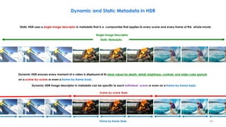 Static HDR uses a single image descriptor in metadata that is a compromise that applies to every scene and every frame of the whole movie.
Dynamic and Static Metadata in HDR
Static Metadata
Dynamic HDR ensures every moment of a video is displayed at its ideal values for depth, detail, brightness, contrast, and wider color gamuts
on a scene-by-scene or even a frame-by-frame basis.
Dynamic HDR image descriptor in metadata can be specific to each individual scene or even on a frame-by-frame basis.
Frame-by-frame Basis
Scene-by-scene Basis
Single Image Descriptor
40
 