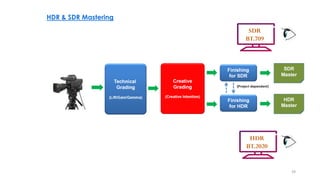 HDR and WCG Video Broadcasting Considerations | PDF