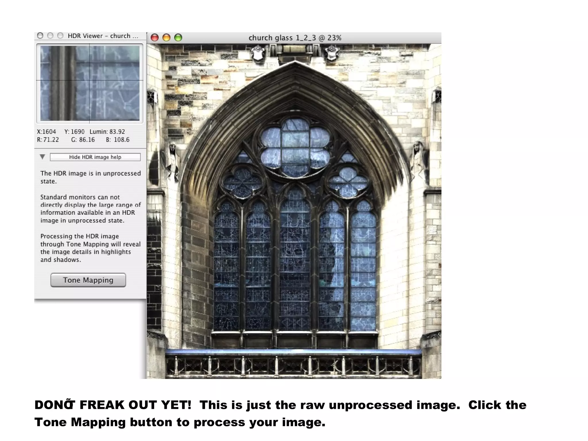 DONÕ FREAK OUT YET! This is just the raw unprocessed image. Click the
    T
Tone Mapping button to process your image.
 
