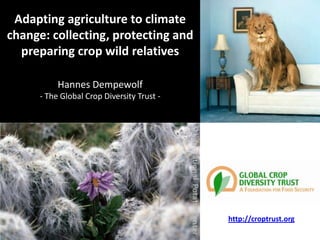 Adapting agriculture to climate
change: collecting, protecting and
  preparing crop wild relatives

           Hannes Dempewolf
      - The Global Crop Diversity Trust -




                                            http://croptrust.org
 